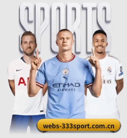 五个功能入口,赛程查询路径更短 - 多运动项目内容板块 - 333Sports